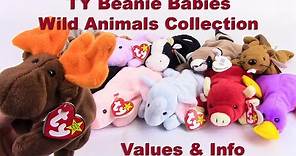 TY Beanie Babies Collection of 12 Wild Animals (Snort, Patti +10) - Value & Review - BBToyStore.com