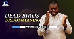Dead Birds Dream Meaning - Symbolism and Biblical Interpretations