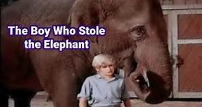 The Boy Who Stole the Elephant (Adventure) NBC Made for Television Movie - 1970