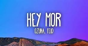 Ozuna Ft. Feid - Hey Mor