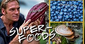 Darin Olien's TOP 10 SUPERFOODS in his Plant-Based Diet (Immune Boosting, Vegan, & Delicious)
