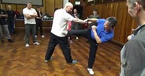 Wing Chun Kicking pt2