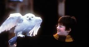 Ora è ufficiale: svelati i primi dettagli della serie tv ispirata a Harry Potter