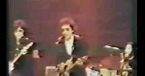 Bob Dylan - Live 1974 at St Louis (audience film)