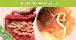Human Intestinal Parasite Treatment Explained