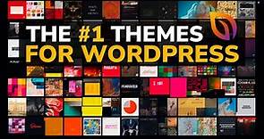 Top 10 Most Popular & Best WordPress Themes (2023)