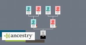 How Ancestry works | How-to | Ancestry UK