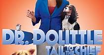 Dr. Dolittle: Tail to the Chief streaming online