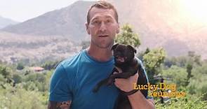 Lucky Dog - Today on Lucky Dog: Reunions! Watch-along with...