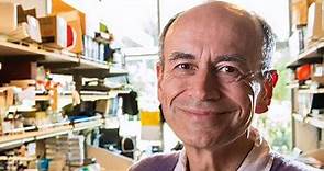 Thomas Südhof wins Nobel Prize in physiology or medicine | Stanford News