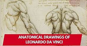 Leonardo da Vinci's Anatomical Drawings: Leonardo da Vinci's Anatomical Masterpieces