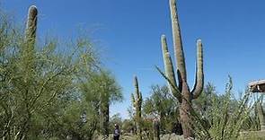 Trip to Rincon Mountain Visitor Center at Saguaro National Park, Tucson, Arizona