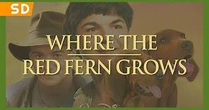 Where the Red Fern Grows (2003) Trailer