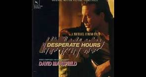 Desperate Hours - David Mansfield - Full Album