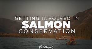 Getting Involved in Pacific Northwest Salmon Conservation