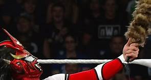 Jushin Thunder Liger competes in WWE