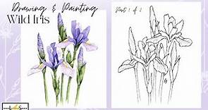 Iris Flower! Learn How to Draw and Paint Beautiful Wild Iris Flowers! Part 1 of 2
