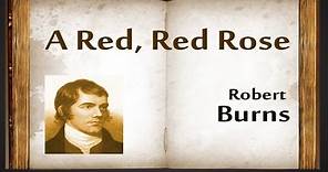 A Red, Red Rose by Robert Burns - Poetry Reading