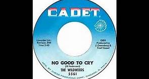 The Wildweeds - No Good To Cry - 1967