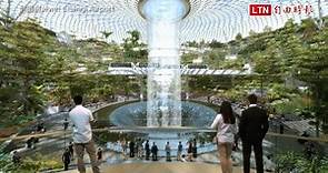 新加坡機場沒有極限！ 世界最高絕美「雨漩渦」4月開幕 - 生活 - 自由時報電子報