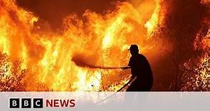 Hundreds of firefighters continue to battle wildfires across Europe - BBC News