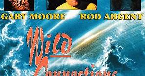 Phil Collins, Gary Moore, Rod Argent - Wild Connections