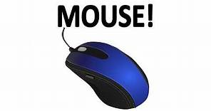 How Does a Mouse Work?