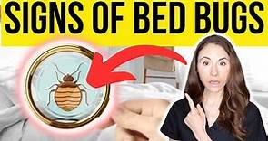 Signs You Have Bed Bugs And How To Get Rid Of Them