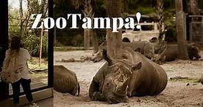 ZooTampa at Lowry Park: 2023 Tour of this TOP TEN Zoo! 🦏