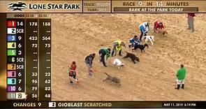 Lone Star Park - The 8th and final race of 2019 Lone Star...