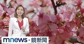【1/17週二天氣】武陵農場櫻花季提前盛開！ 週三起回溫、週四北部高溫回升至20度｜#鏡新聞