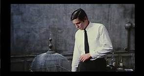 El silencio de un hombre Le Samouraï 1967 Español