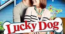 Lucky Dog (2015)