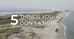 5 Things You (Probably) Don't Know About Sable Island