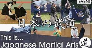 This is... Japanese Martial Arts!