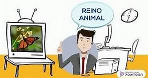 REINO ANIMAL - PRINCIPAIS CARACTERÍSTICAS