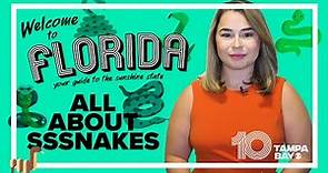 Snakes in Florida: What you need to know