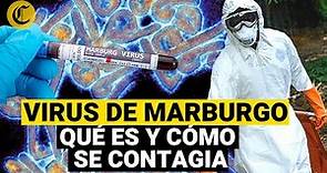VIRUS DE MARBURGO: Qué es, síntomas, contagio y todo lo que sabemos de esta enfermedad