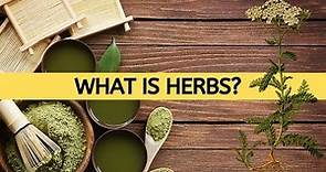 What Is Herbs? / Herb And Their Uses