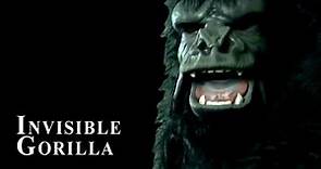 The Invisible Gorilla (featuring Daniel Simons) (EMMY Winner)
