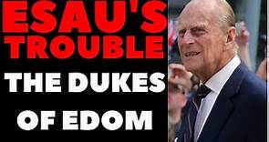 These Were Dukes Of The Sons Of Esau: The Sons Of Eliphaz The Firstborn Son Of Esau; Duke Teman.