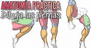 Anatomía dibujada / aprende a dibujar las piernas masculinas / curso de dibujo #cursodedibujo #arte