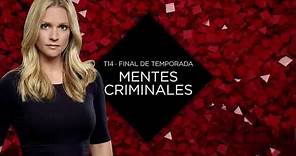 Mentes Criminales T14 - Final de temporada
