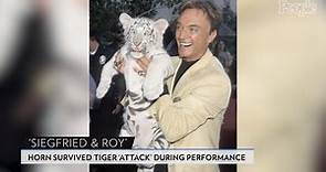 Siegfried Dies 8 Months After Roy: A History of Their Famous Partnership
