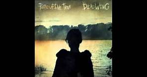 Porcupine Tree - Shesmovedon (Deadwing ver.)