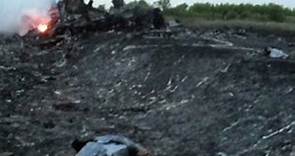 Journalist: 'Bodies turned inside out' at MH17 crash site