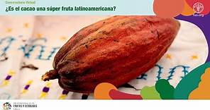 ¿Es el cacao una súper fruta latinoamericana?