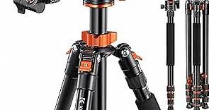 K&F Concept 74 inch Camera Tripod,Professional Center Axis Horizontal Tripods with Detachable Monopod,360 Degree Ball Head,Quick Release Plate Compatible with DSLR Cameras T254A6+BH-28L(SA254T3)