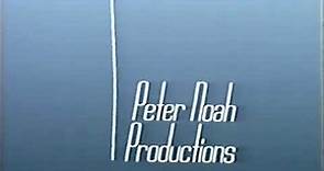 Peter Noah Productions/Warner Bros. Television (1995) #2