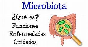 🦠 ¿Qué es la Microbiota? 🦠 Funciones 💥 Enfermedades 💥 Cuidados 🧫 [Fácil y Rápido] | BIOLOGÍA |
